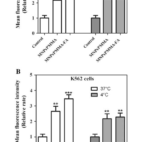 Quantification Of Mean Fluorescence Intensity By ImageJ Software Cells