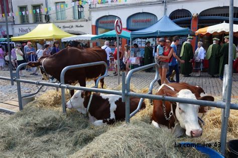 La Ferme S Invite En Ville Les Animaux Retrouvent Le Puy En Velay