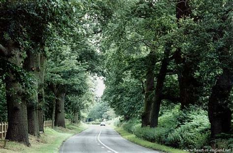 Heart Of England The Forest Of Arden