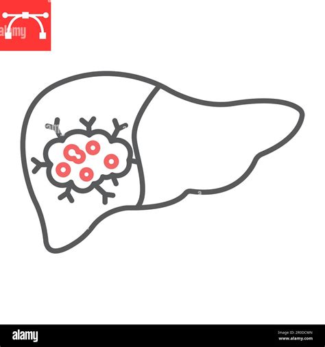 Liver Cancer Line Icon Oncology And Medicine Liver Tumor Vector Icon Vector Graphics