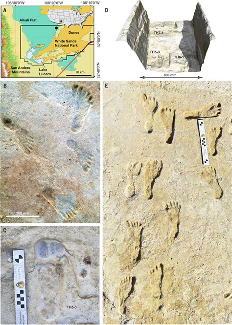 Footprints Prove Humans Lived In North America 23000 Years Ago