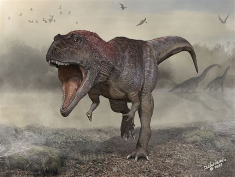 Novo T rex cientistas descobrem fóssil de dinossauro gigante