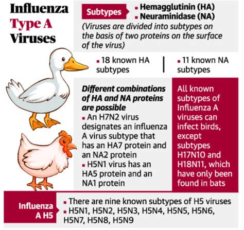 Avian Influenza H5n1 Upsc Prelims Ias4sure