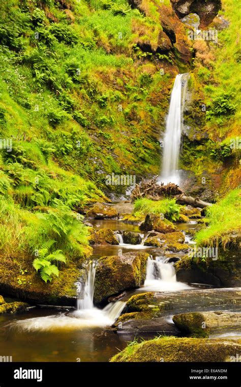 waterfall Pistyll Rhaeadr Snowdonia Stock Photo - Alamy