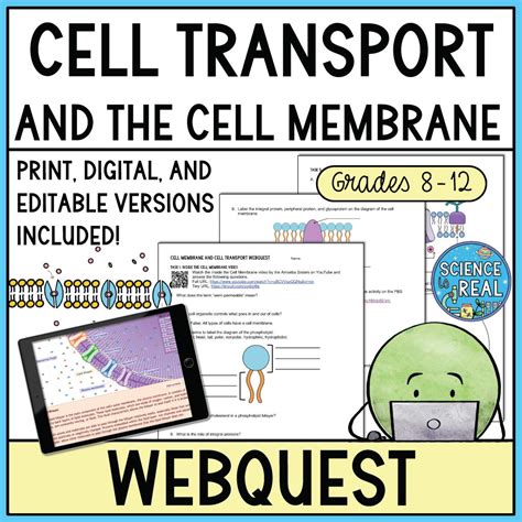 Cell Membrane And Cell Transport Webquest Science Is Real Education