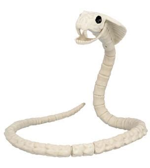 Snake Skeleton Cm Schweizer Onlineshop F R Fasnachts