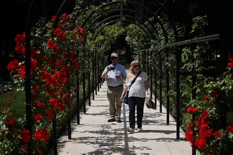 Fotos De La Rosaleda Del Parque Grande De Zaragoza Im Genes