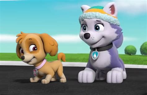 Everest And Skye Paw Patrol Fan Universe Wiki Fandom