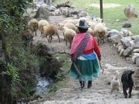 microfinance lessons insights  guides  financial inclusion
