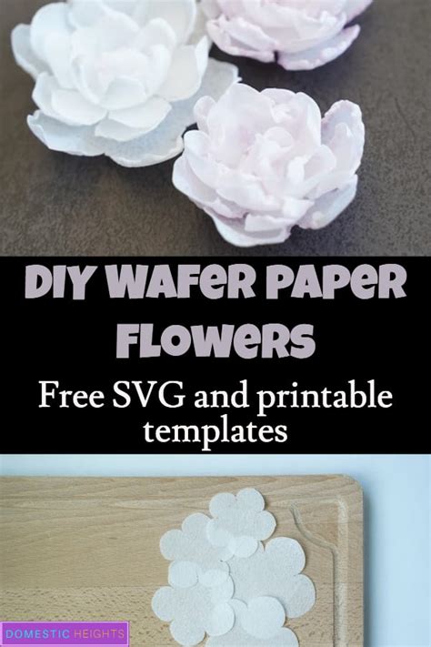 Wafer Paper Flowers Tutorial