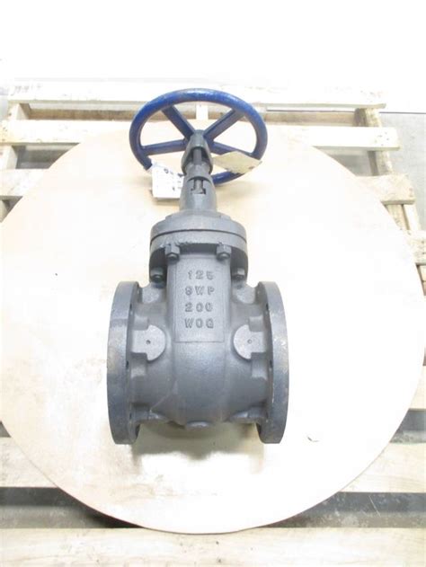 Nibco F 619 200wog 6 In 125 Iron Flanged Wedge Gate Valve D495801