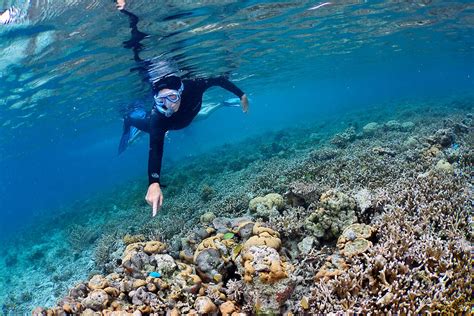 Stunning Photos From Snorkeling Expedition Showcase Palaus Amazing