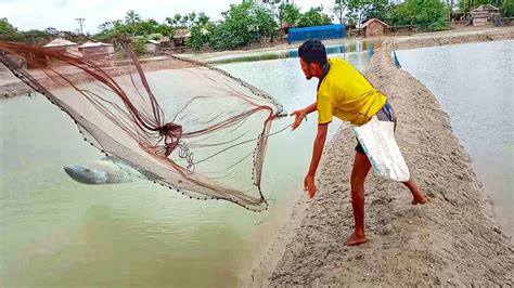 দেখুন ঝাঁকি জাল দিয়ে কি মাছ ধরা হয় See What Fishing Is Done With