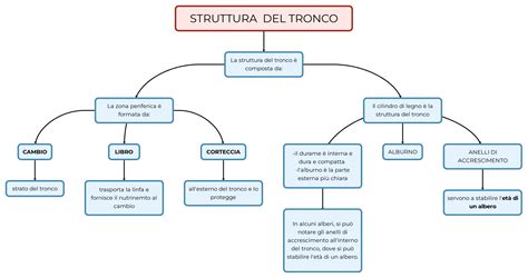 STRUTTURA DEL TRONCO Mappa E Riassunto