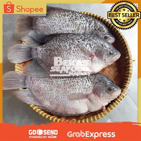 Jual Ikan Gurame Fresh Ikan Gurame Segar Kg Ikan Gurame Shopee