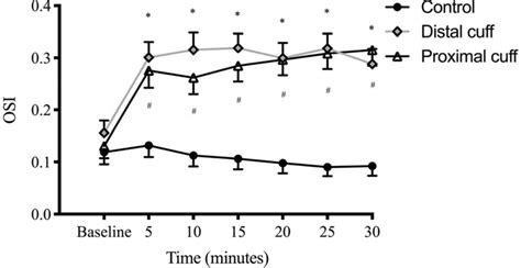 Oscillatory Shear Index Osi During The 30 Min Intervention Between