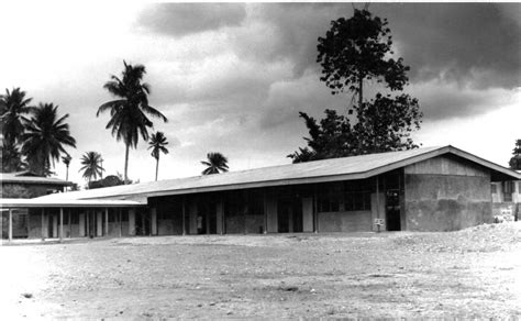 History of IHMA - IHMA