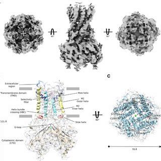 Cryo Em Map And Atomic Structure Of The Human Kir Channel A