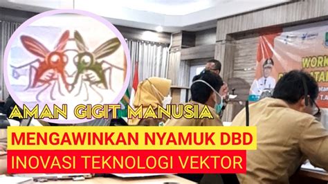 WOLBACHIA INOVASI TEKNOLOGI VEKTOR BETERNAK NYAMUK DAN MENGAWINKAN