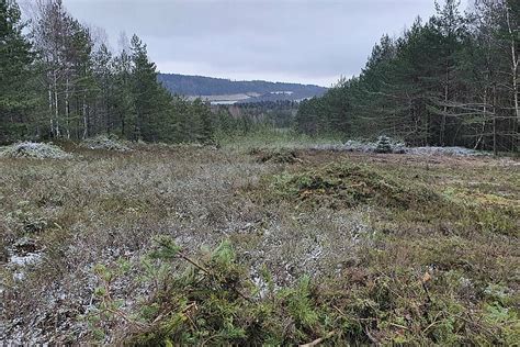 Stiftung Naturschutz Th Ringen Offenlandentwicklung Auf Fl Chen Der