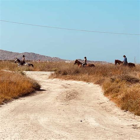 Kos Adası Yapılacak 10 Şey Gezilecek Yerler Tam Liste