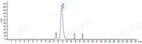 Recombinant Mouse Her Erbb Protein M H Sino Biological