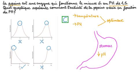 Vidéo question Identifier le graphique qui illustre le mieux l