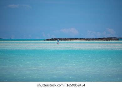 43 Coco plum beach Images, Stock Photos & Vectors | Shutterstock