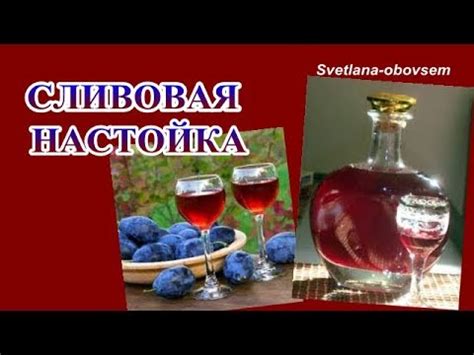 СЛИВОВАЯ НАСТОЙКА-ОБАЛДЕННАЯ СЛИВЯНКА.. ГОТОВИМ ДОМА САМИ... - YouTube