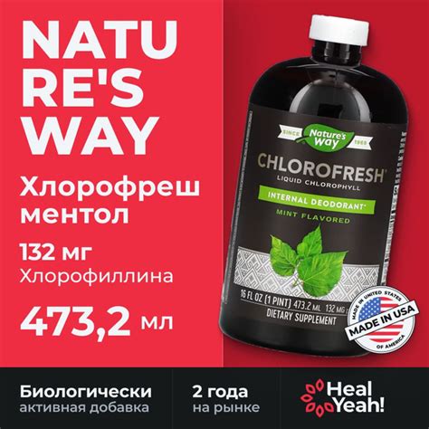 Nature's Way Chlorofresh, жидкий хлорофилл, с ароматом мяты, 473,2 мл ...