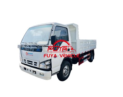 Japan Isuz 4X2 5ton 5cbm Tipper Mini Cargo Dump Truck For Sale China