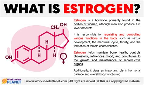 What is Estrogen | Definition of Estrogen