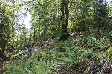 Nieuwe Mtb Routes Door De Ardennen In De Belgische Oostkantons