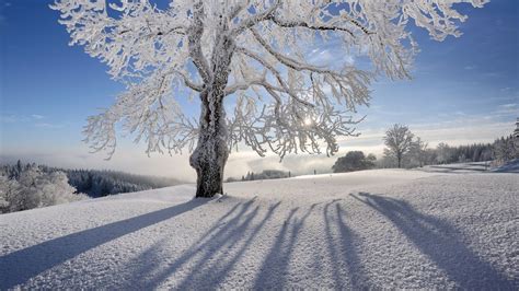 Winter Europe Wallpapers - 4k, HD Winter Europe Backgrounds on WallpaperBat