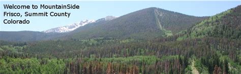 Mountainside Condos Frisco Colorado