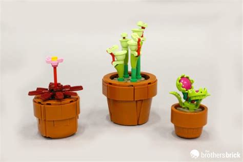 Lego Icons Botanical Collection Tiny Plants Tbb Review