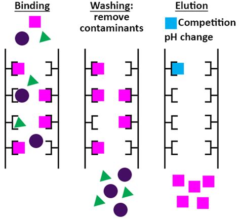 Affinity Chromatography Protein Expression And Purification Core Facility