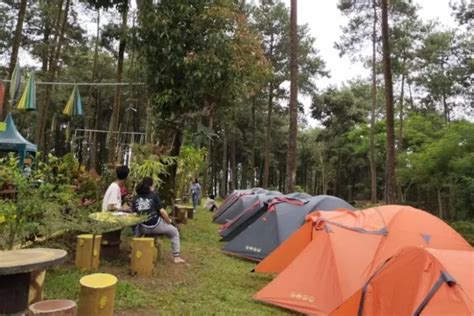 Camping Di Bumi Perkemahan Alastuwo Objek Wisata Magetan Jawa Timur