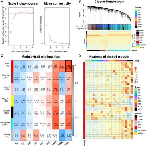 Wgcna Analysis Of The Circrna Dataset Identified By The Co Expression