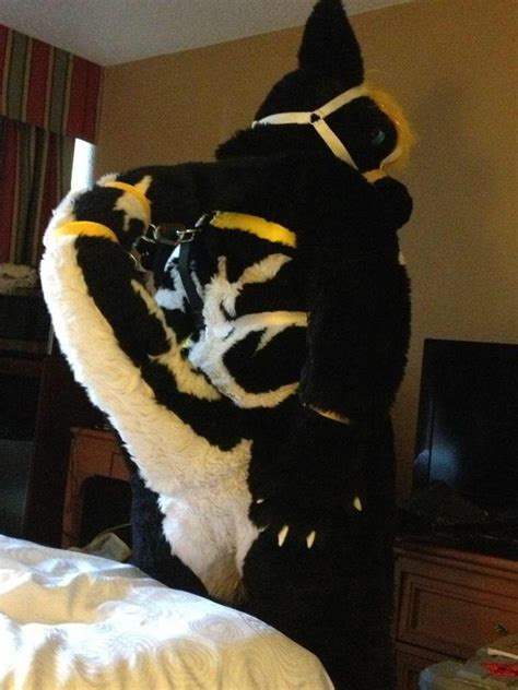 Pin By Kardon Max On Fursuit Fursuit Furry Fursuit Paws Fursuit Yiff