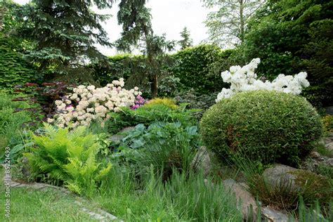 Beautiful spring garden design with rhododendron Stock Photo | Adobe Stock