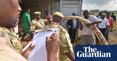 Kenya Burns Confiscated Ivory In Pictures Environment The Guardian