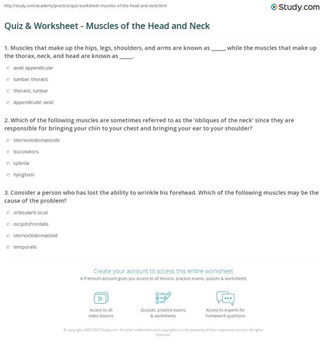 Quiz And Worksheet Muscles Of The Head And Neck