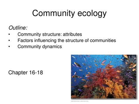 Ppt Community Ecology Powerpoint Presentation Free Download Id766156