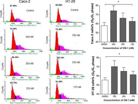 Flow Cytometry Analysis Of Cell Cycle Changes In Caco 2 And HT 29 Cells