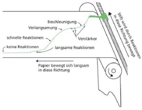 Vl Operante Konditionierung Karteikarten Quizlet