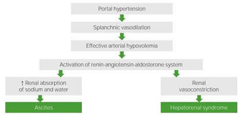 Hepatorenal Syndrome | Concise Medical Knowledge