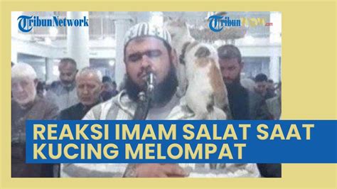 Viral Seekor Kucing Melompat Ke Imam Salat Tarawih Reaksinya Tak