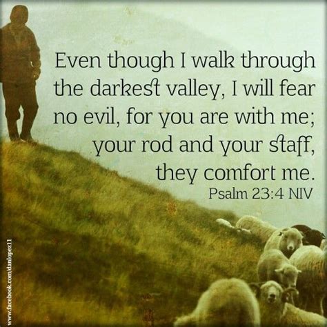 Psalm Niv Even Though I Walk Through The Darkest Valley I Will