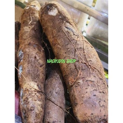 Jual UMBI UWI 1KG SEGAR BIBIT UMBI UWI DIOSCOREA ALATA HUWI UWI